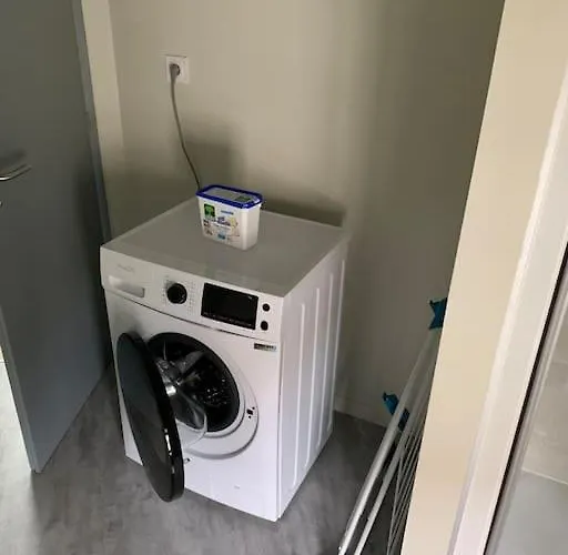 Ikebana - Cholet Puy Du Fou Maulévrier