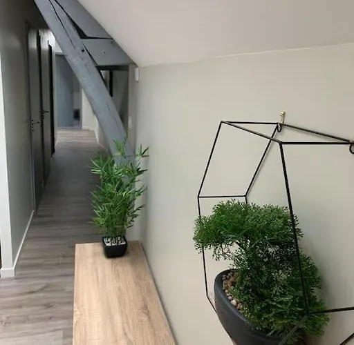 Ikebana - Cholet Puy Du Fou