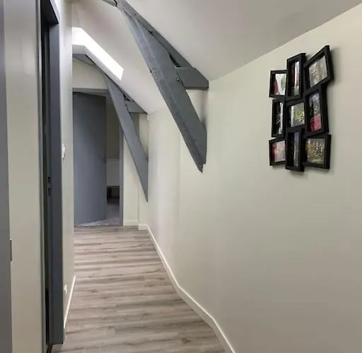 Ikebana - Cholet Puy Du Fou 公寓 Maulévrier